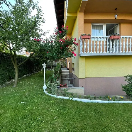 Sunny Garden *